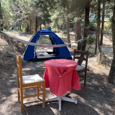 Drolma Ling Nature Cabins Theológos Zewnętrze zdjęcie
