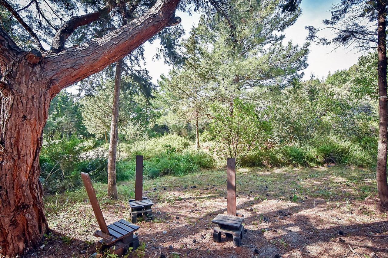 Drolma Ling Nature Cabins Theológos Zewnętrze zdjęcie