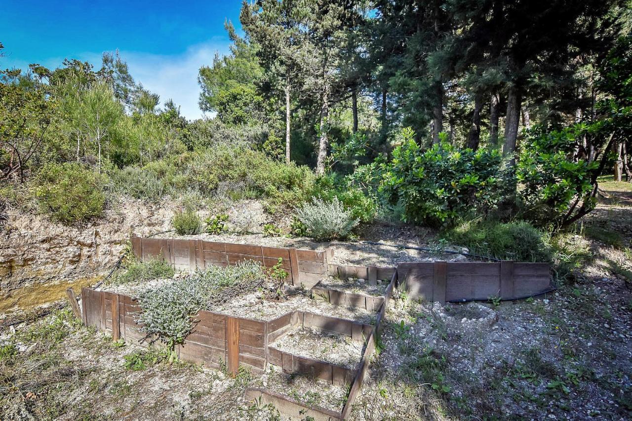 Drolma Ling Nature Cabins Theológos Zewnętrze zdjęcie