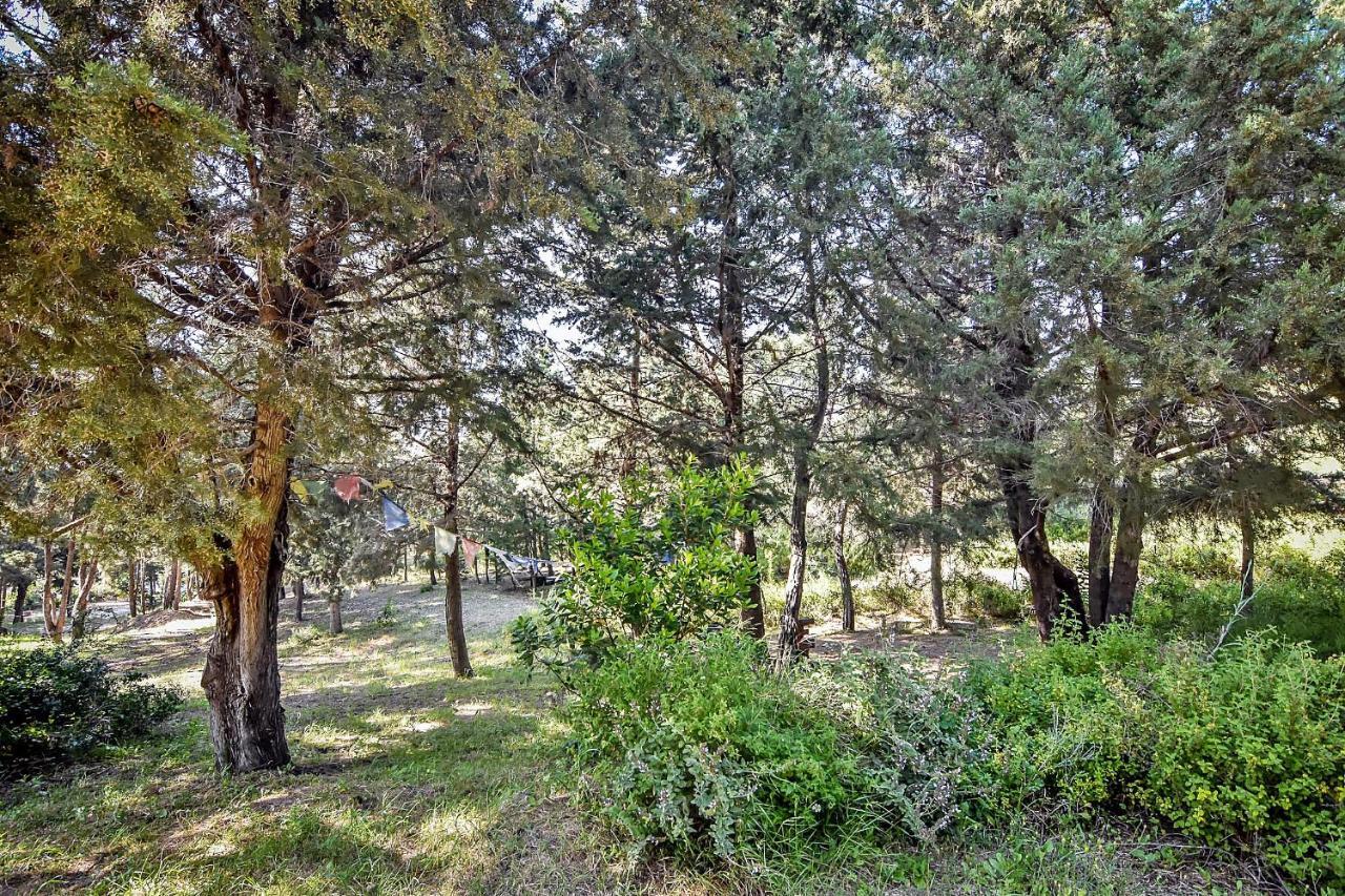 Drolma Ling Nature Cabins Theológos Zewnętrze zdjęcie