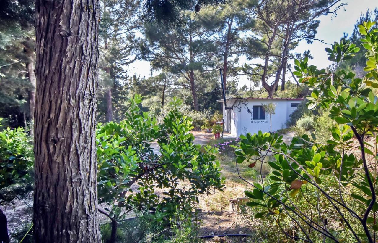 Drolma Ling Nature Cabins Theológos Zewnętrze zdjęcie