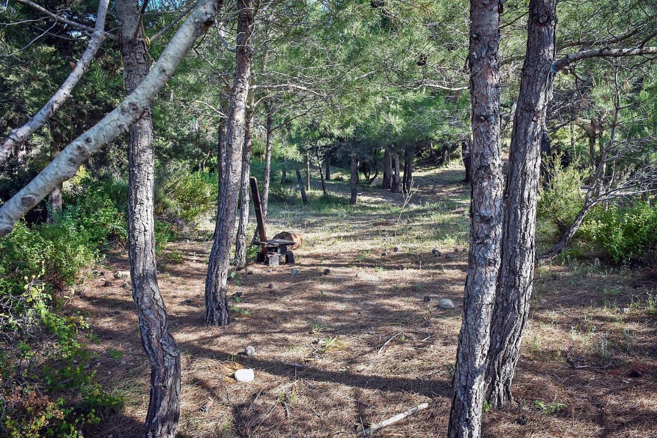 Drolma Ling Nature Cabins Theológos Zewnętrze zdjęcie