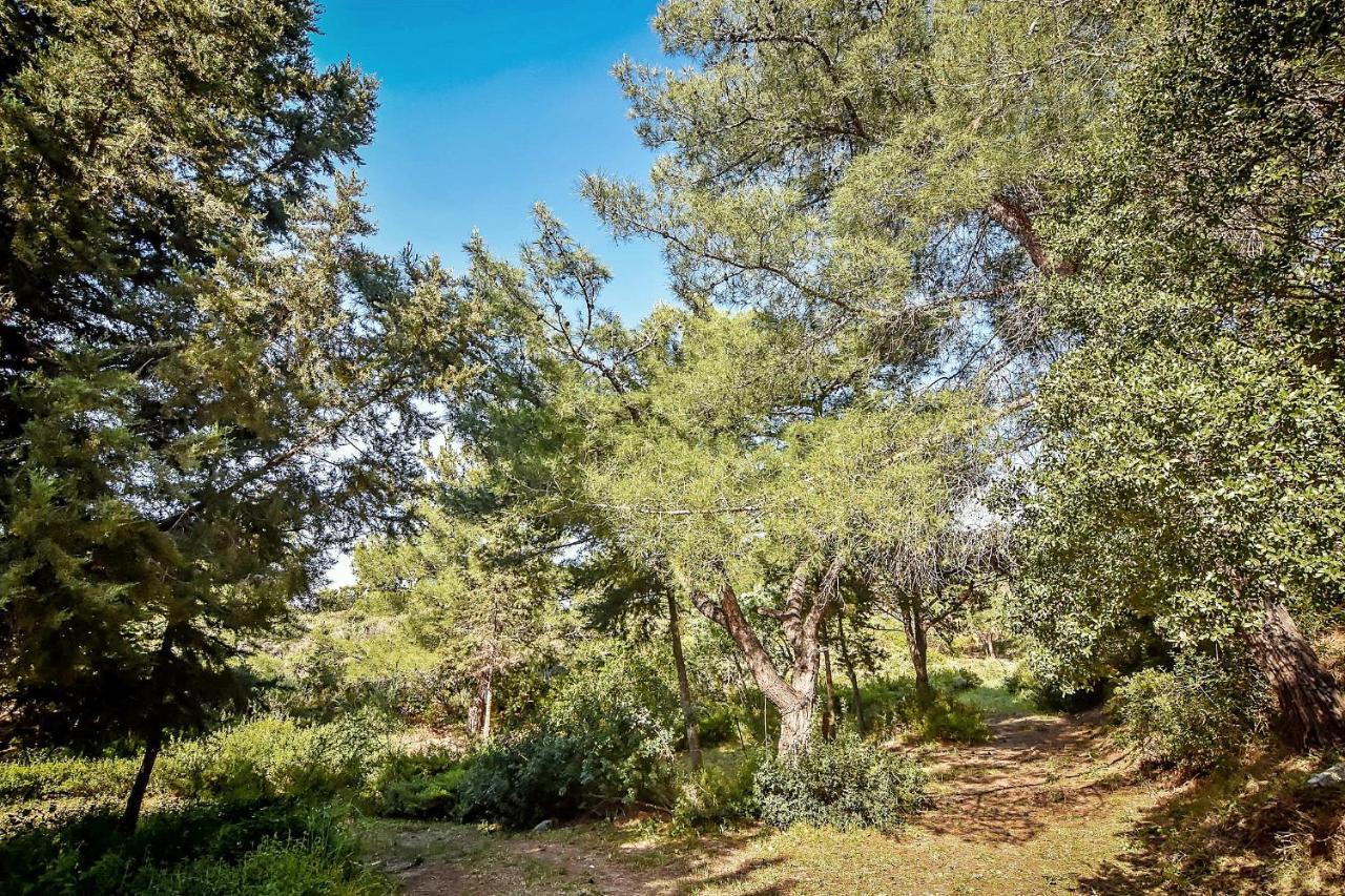 Drolma Ling Nature Cabins Theológos Zewnętrze zdjęcie
