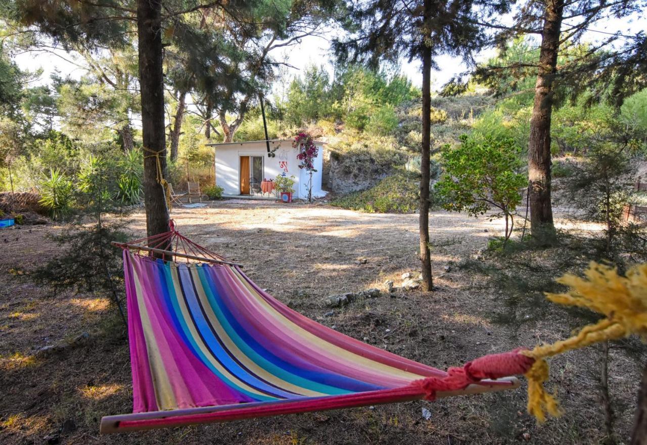 Drolma Ling Nature Cabins Theológos Zewnętrze zdjęcie