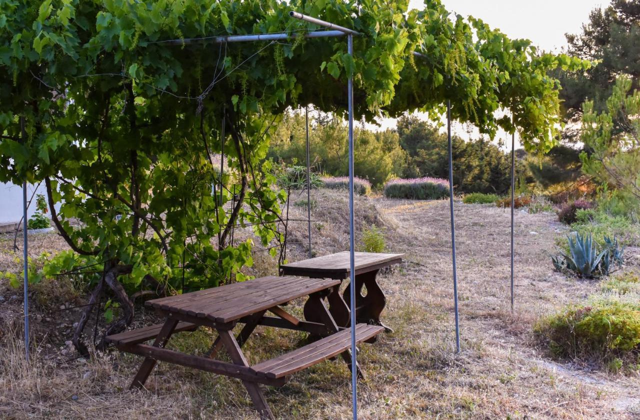 Drolma Ling Nature Cabins Theológos Zewnętrze zdjęcie