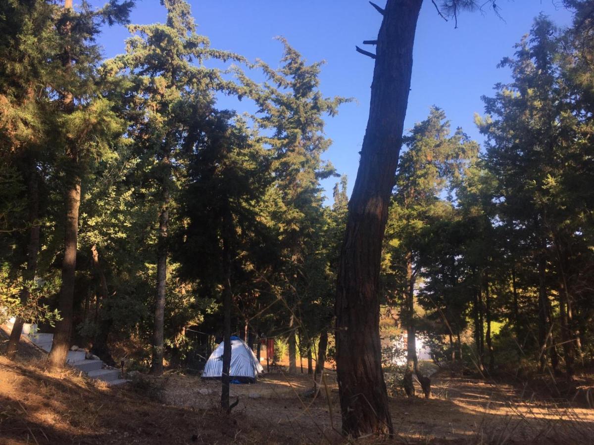 Drolma Ling Nature Cabins Theológos Zewnętrze zdjęcie