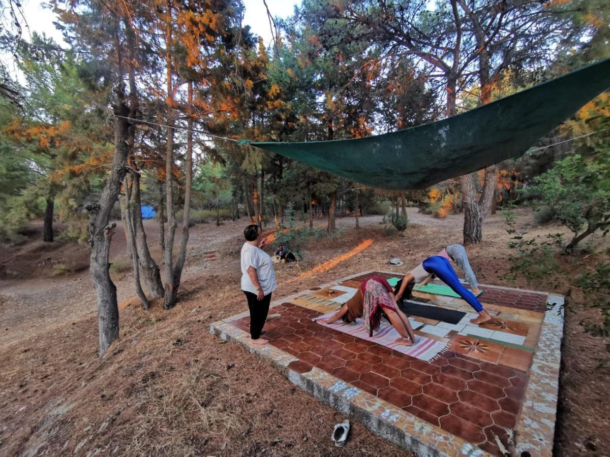 Drolma Ling Nature Cabins Theológos Zewnętrze zdjęcie