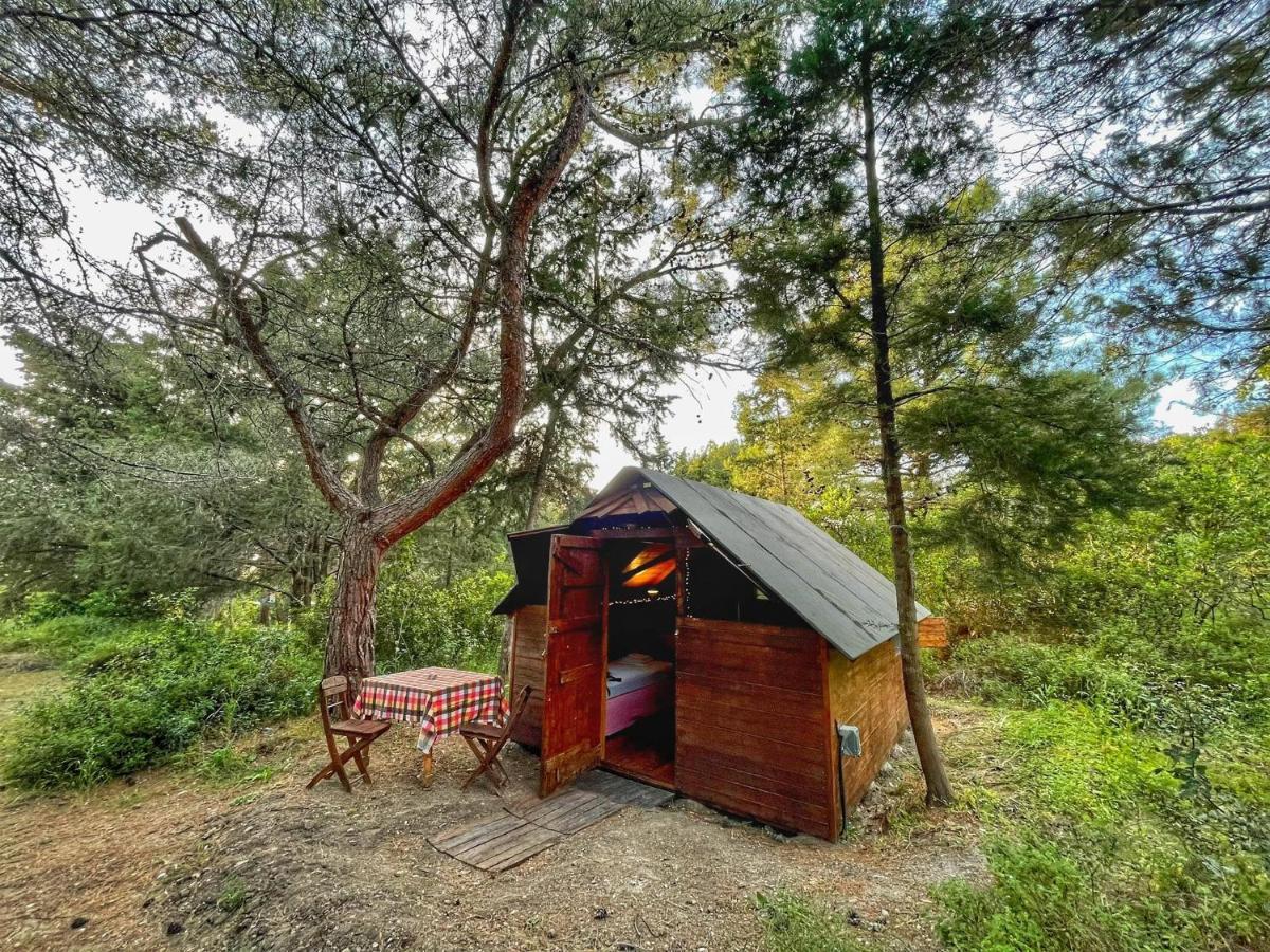 Drolma Ling Nature Cabins Theológos Zewnętrze zdjęcie