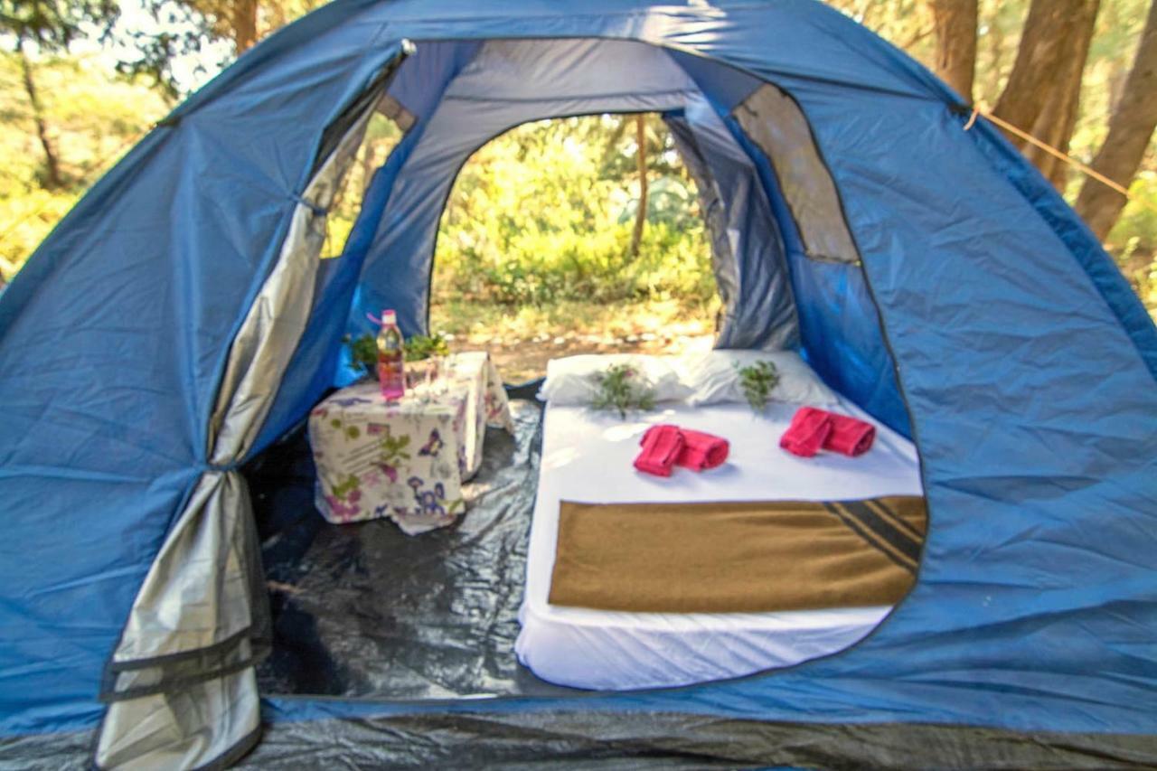 Drolma Ling Nature Cabins Theológos Zewnętrze zdjęcie